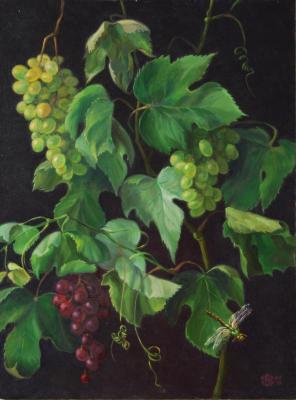 ������� ���������