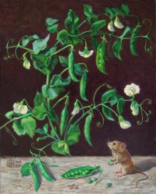 ��������. ���������� �������