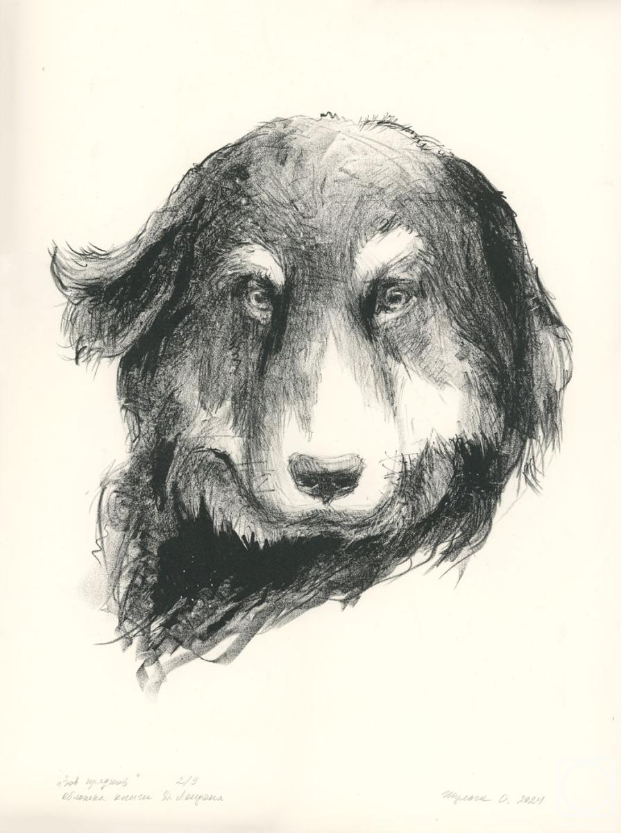 �������. ������ ������. ��� �������. ���� ������