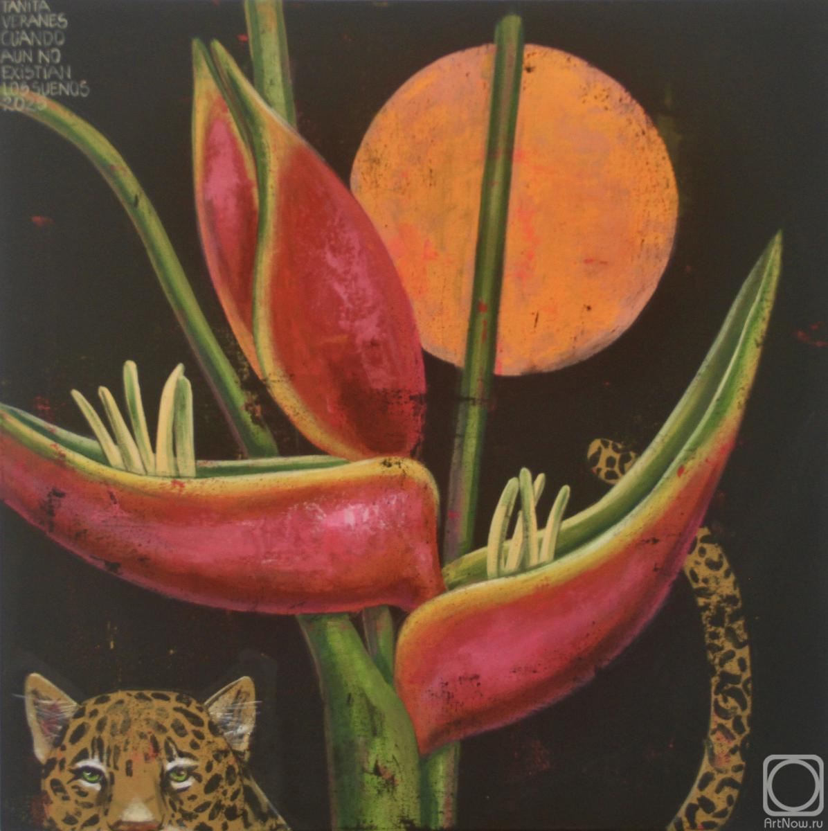 Veranes Tatiana. Untitled