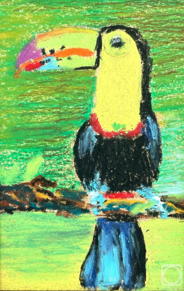 Utlyakova Anastasiya. The bright toucan