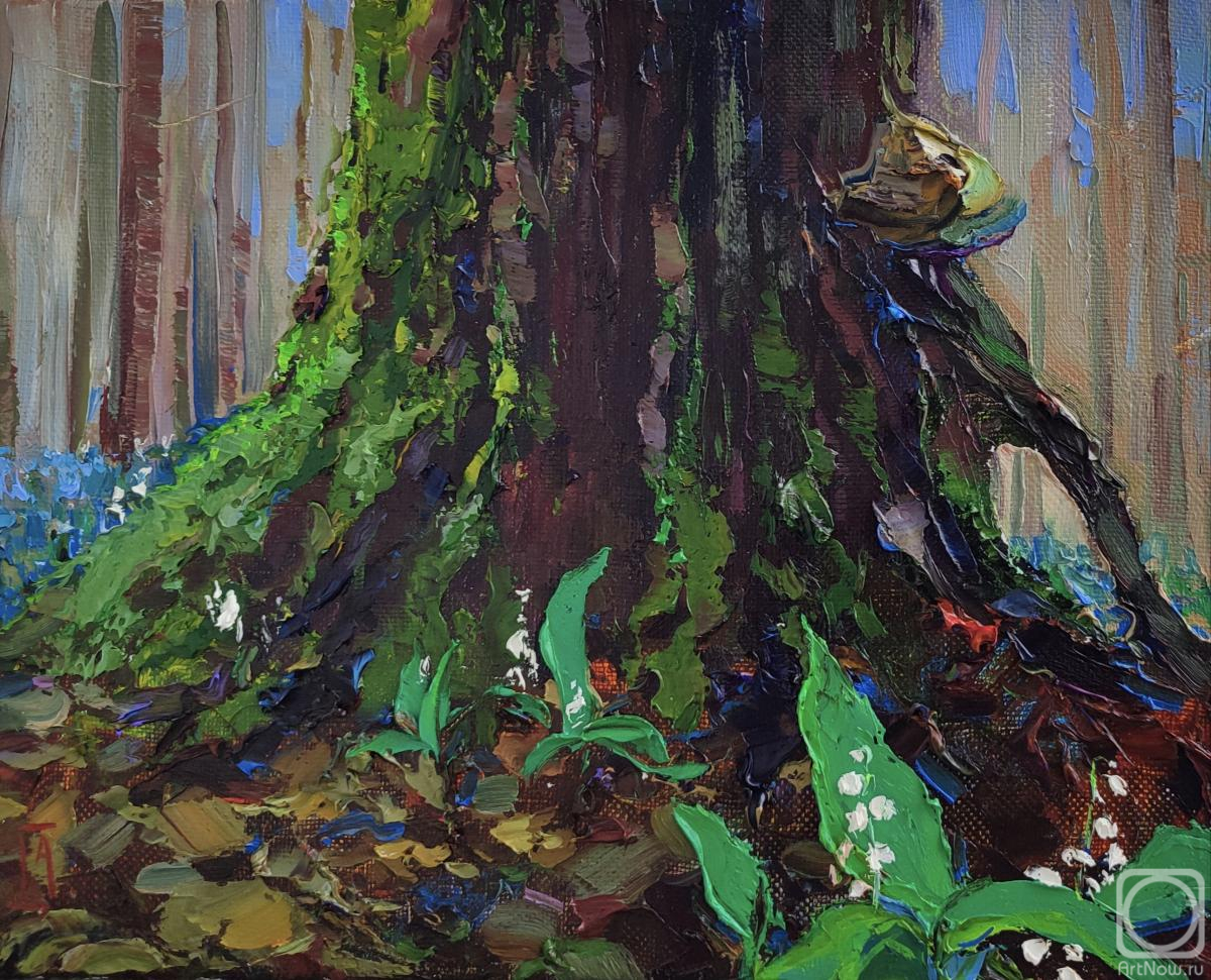 ������� ������ �� ������. ���������� �������. ��� ��� ������� ������