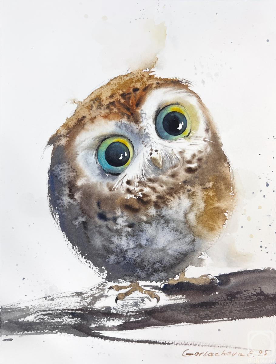 Gorbacheva Evgeniya. Owlet�s Wonder
