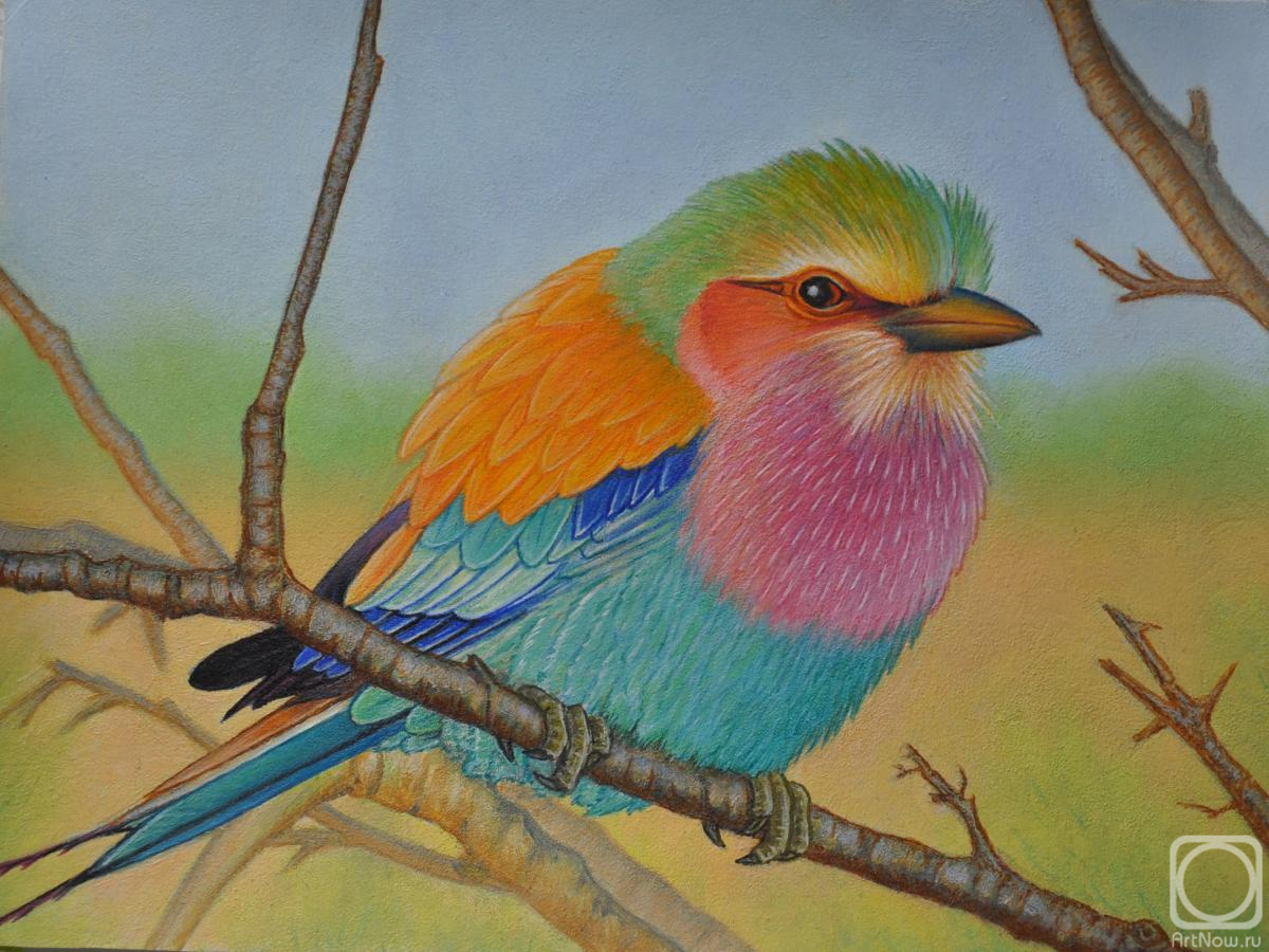 �������. ���������� ��������. �������������� �����������