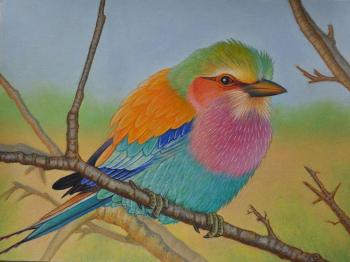 ������� ��������������� �����������