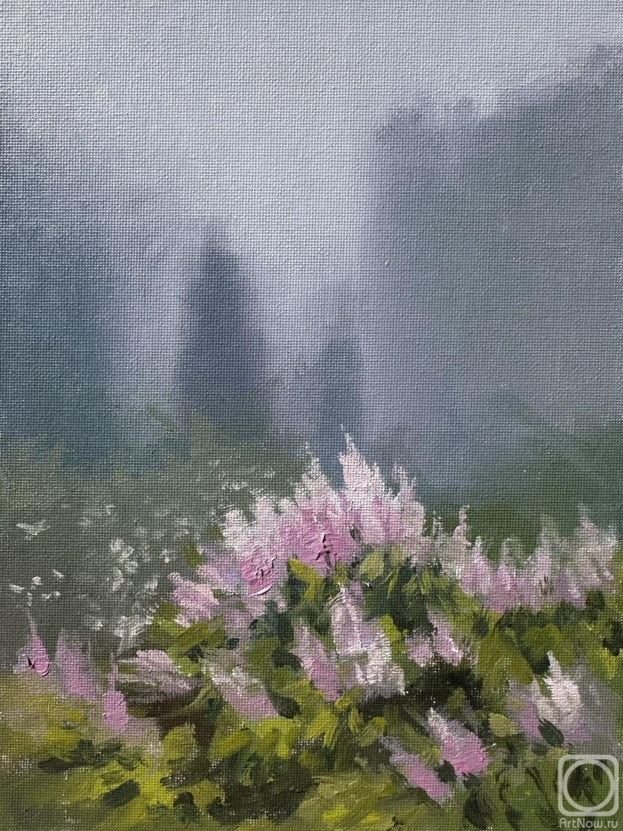 ������� ������ �� ������. �������� �����. ������ � ������