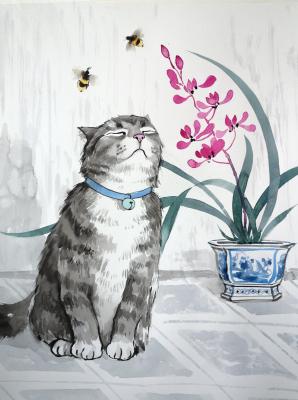 ��-�-�-���. ������� �����