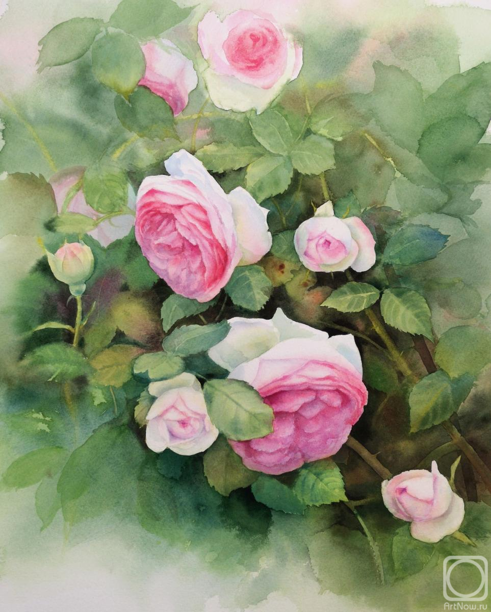 �������. ������� �����. ������� ���� Pierre de Ronsard ��������