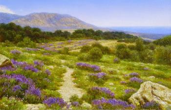 ���������� ���� ��� �������. ���������� ��������