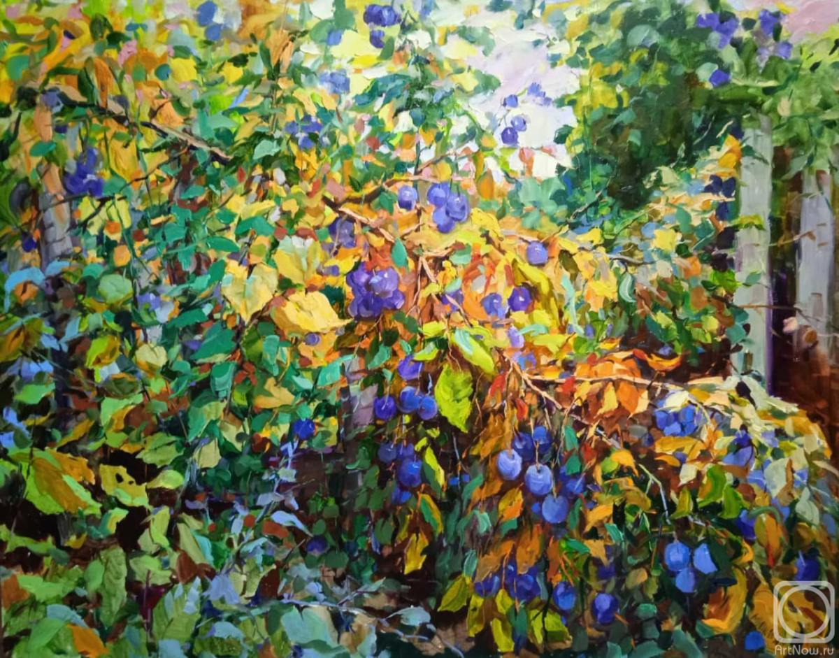 ������� ������ �� ������. ������� ������. �����