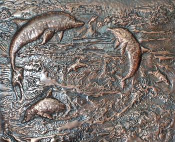 ��������