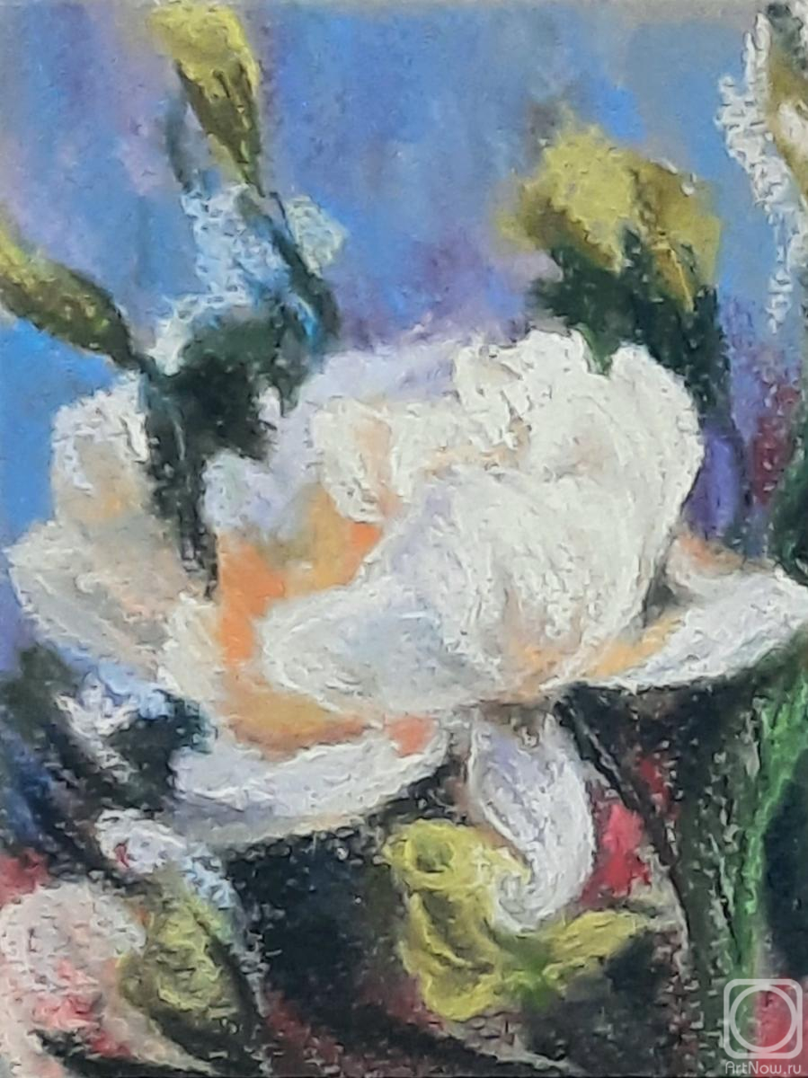 �������. ��������� ������. ���������� ����.����