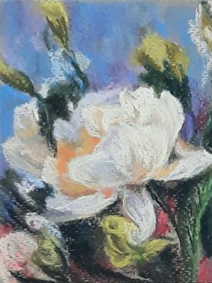 ���������� ����.����