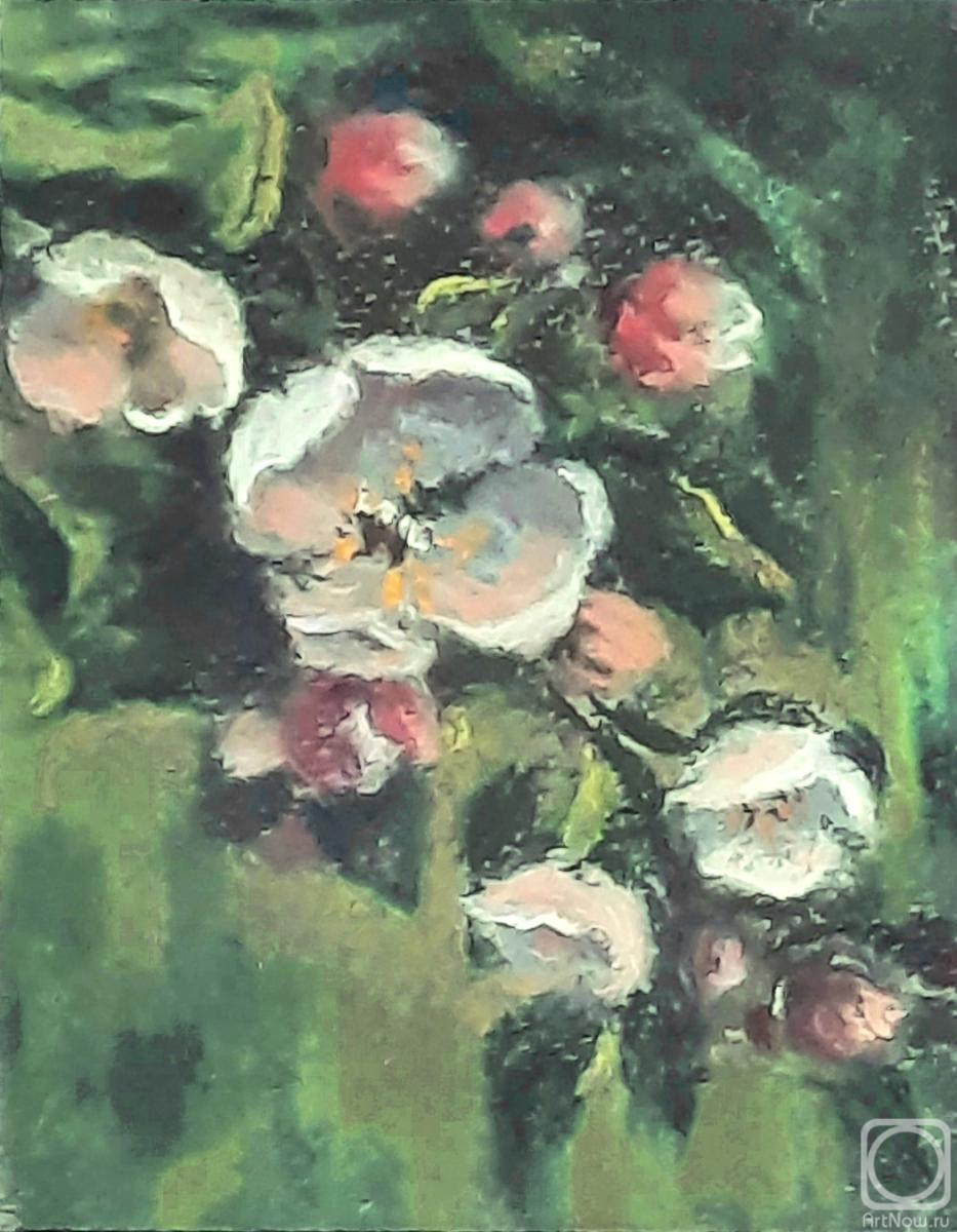 �������. ��������� ������. ��������� ����. ���