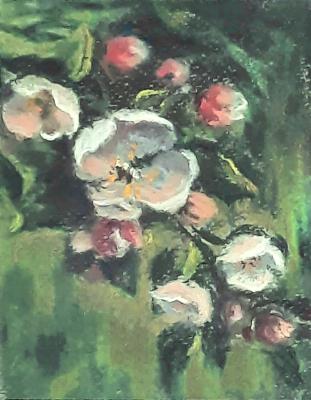 ��������� ����. ���