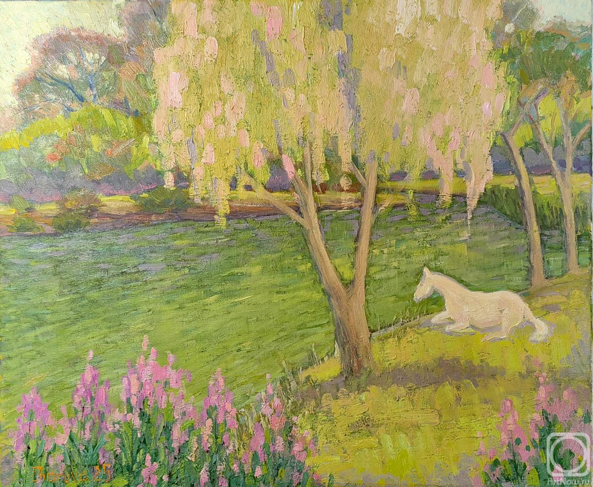 ������� ������ �� ������. ������ ������. ������ �����