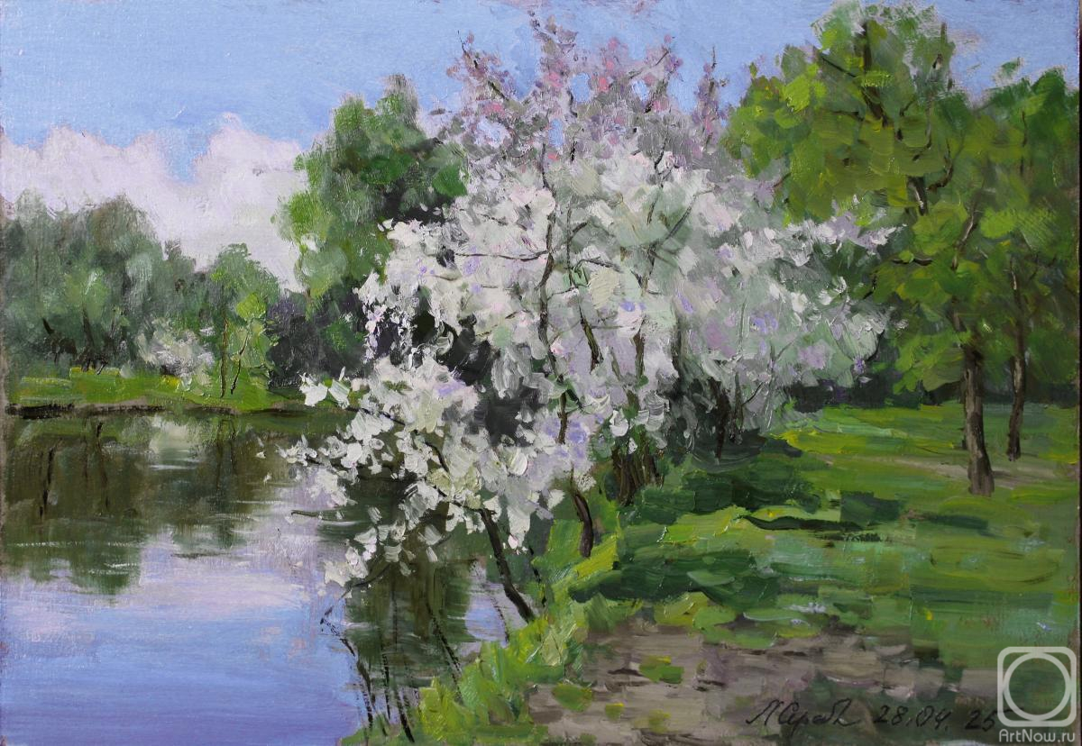 �������. �������������� ������. ����� ������