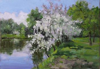 ������� ������ ������