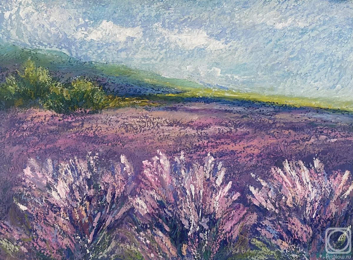 �������. ������� ����. �������