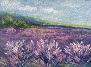 Provence. Ivanova Julia