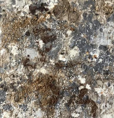 ������������ 7� (��������). ���������� �����