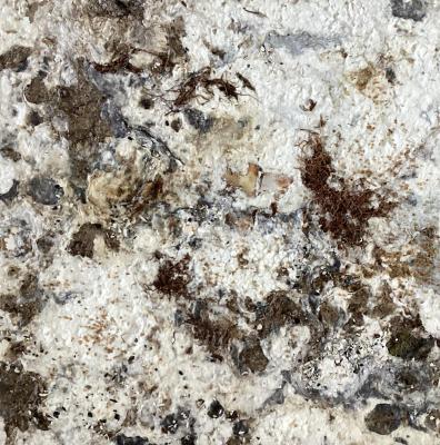 Untitled. Nadtochieva Elena