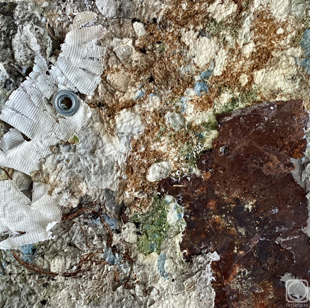 ���������� �����. ����������� 9