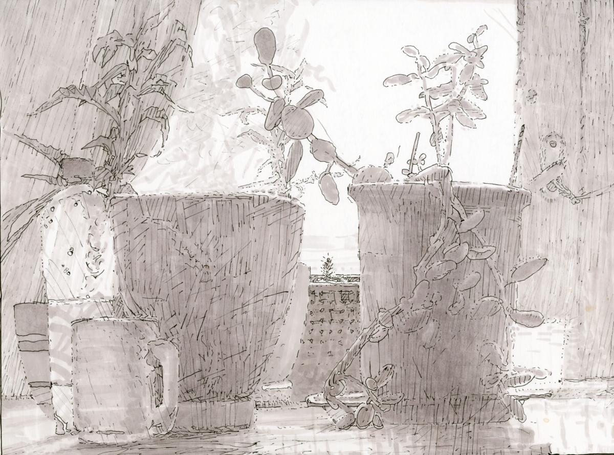 �������. ��������� �������. ����������� � ��������