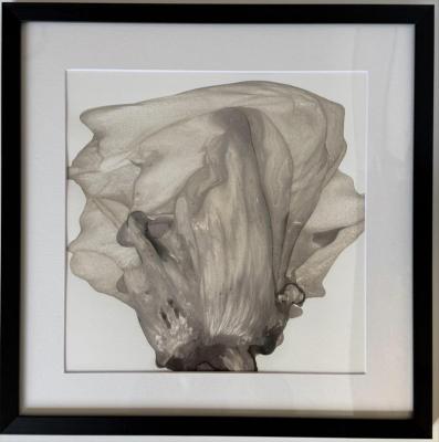 ������� ����� (��������� ����������). �������� ��������