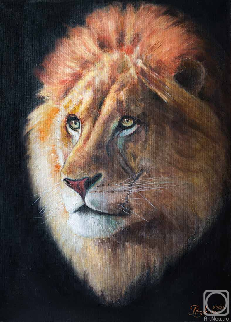 ������� ������ �� ������. �������� �����. ����� ������