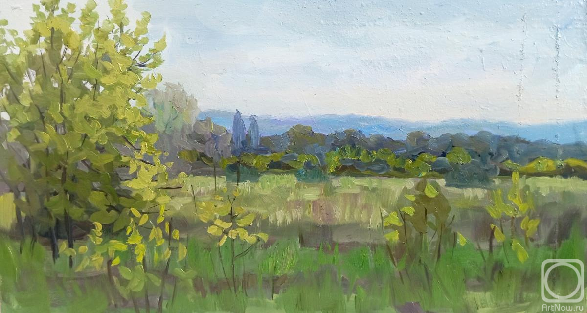 �������. ��������� ����. ��������� ��������. �����