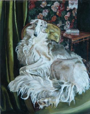 Русская борзая (Русские Борзые Собаки). Ким Константин