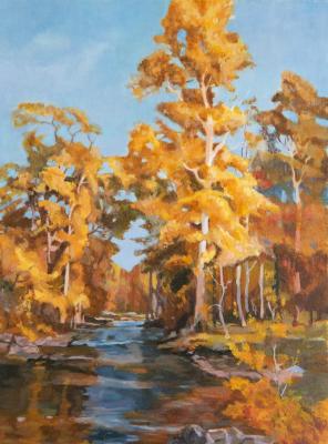 �����. ��� ����������