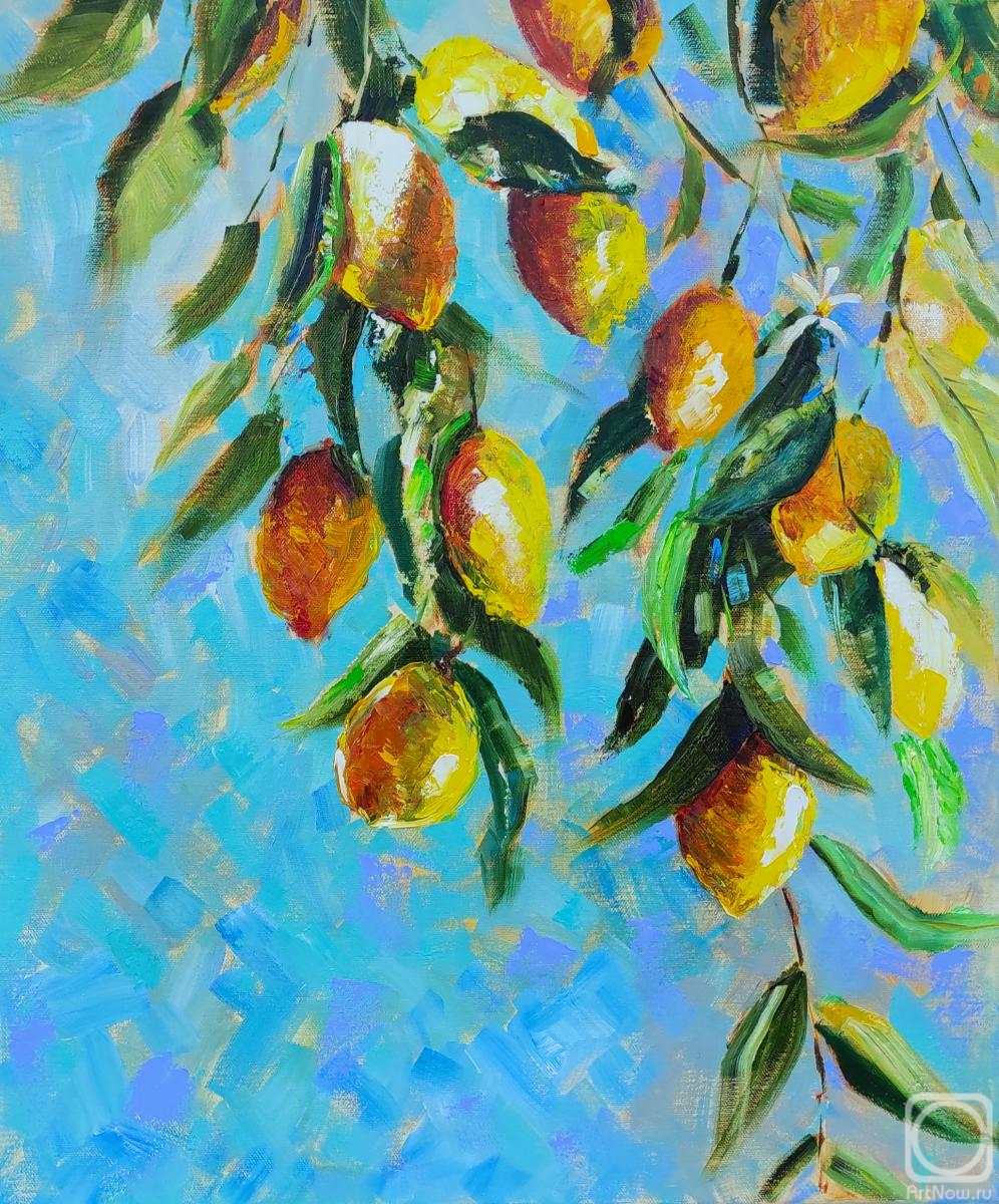 Ponomarenko Olga. Untitled