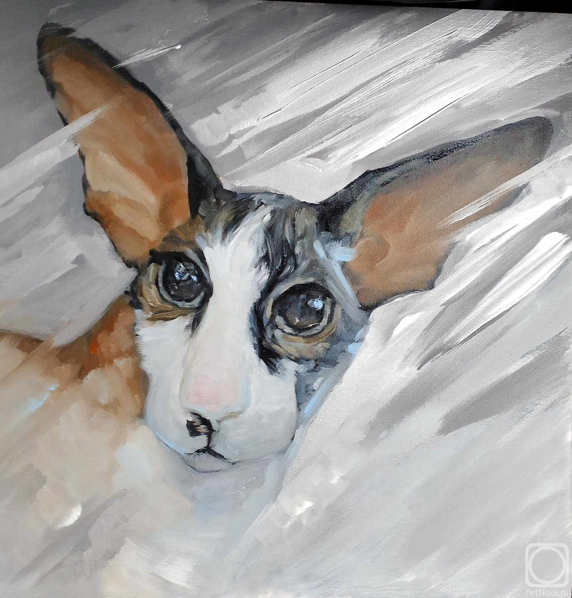 Budanov Valeriy. Untitled