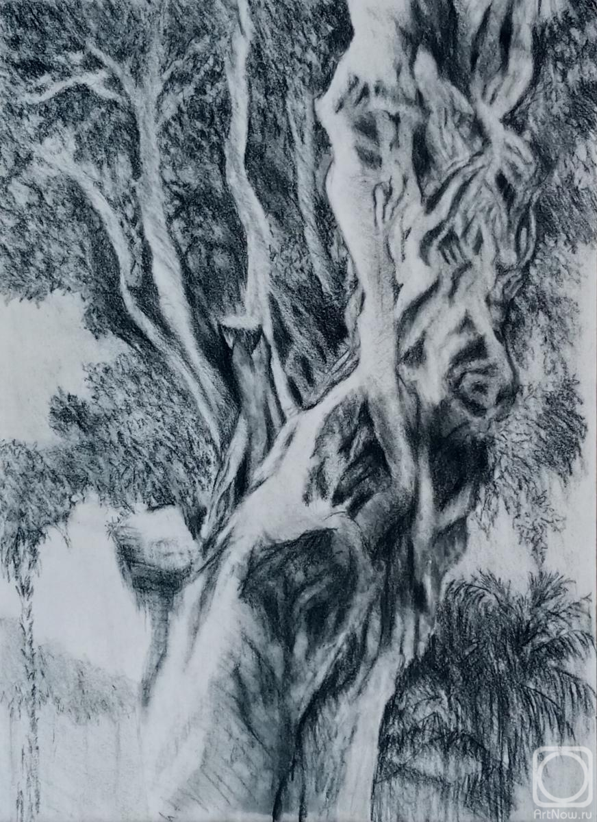 �������. ��������� �������. �������, ���������