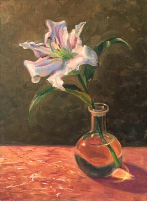 ������� �������