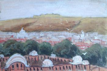 Views of Jaipur 3. Charova Natali