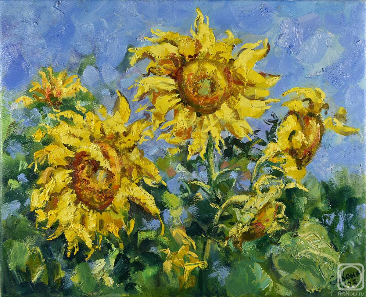 ������� ������ �� ������. ��������� �������. ����������