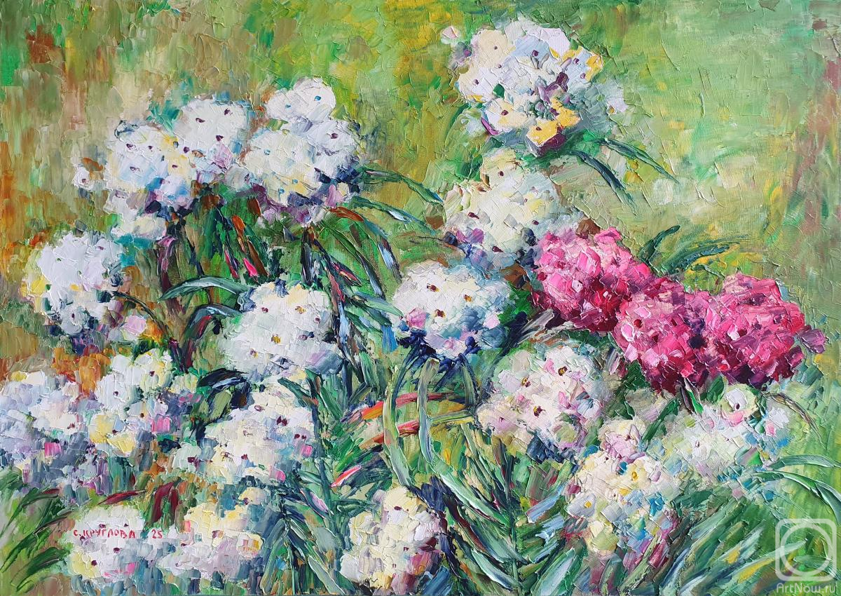 ������� ������ �� ������. �������� ��������. ������