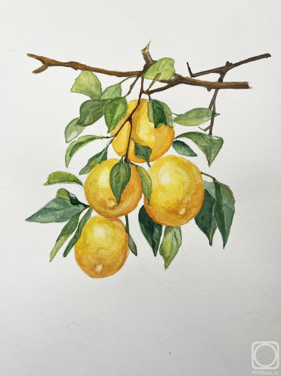 �������. ����������� �������. ����� � ��������