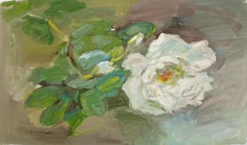 ����� �������� (������� �������� ������). �������� ������