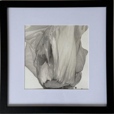 ������� ����. �������� ��������