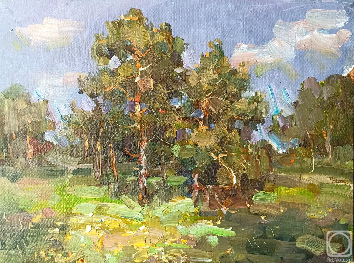 ������� ������ �� ������. ������ ����. �������� ����