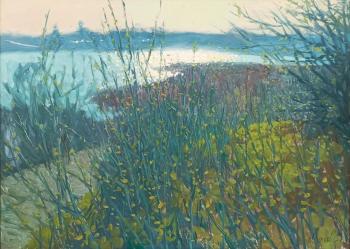 Spring is coming. Miheev Aleksandr