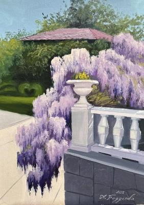 ������� ����������