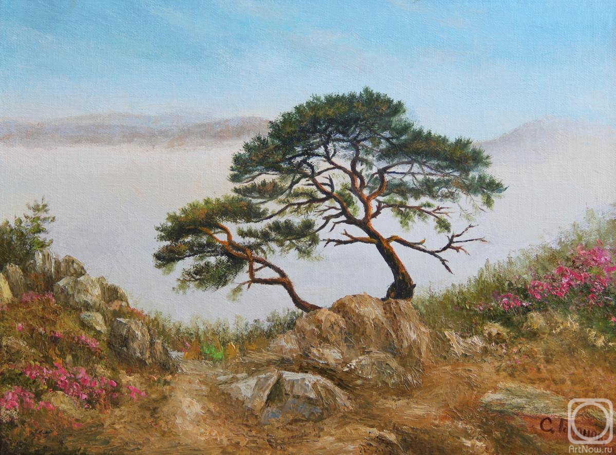 ������� ������ �� ������. ������� ������. ������ �����