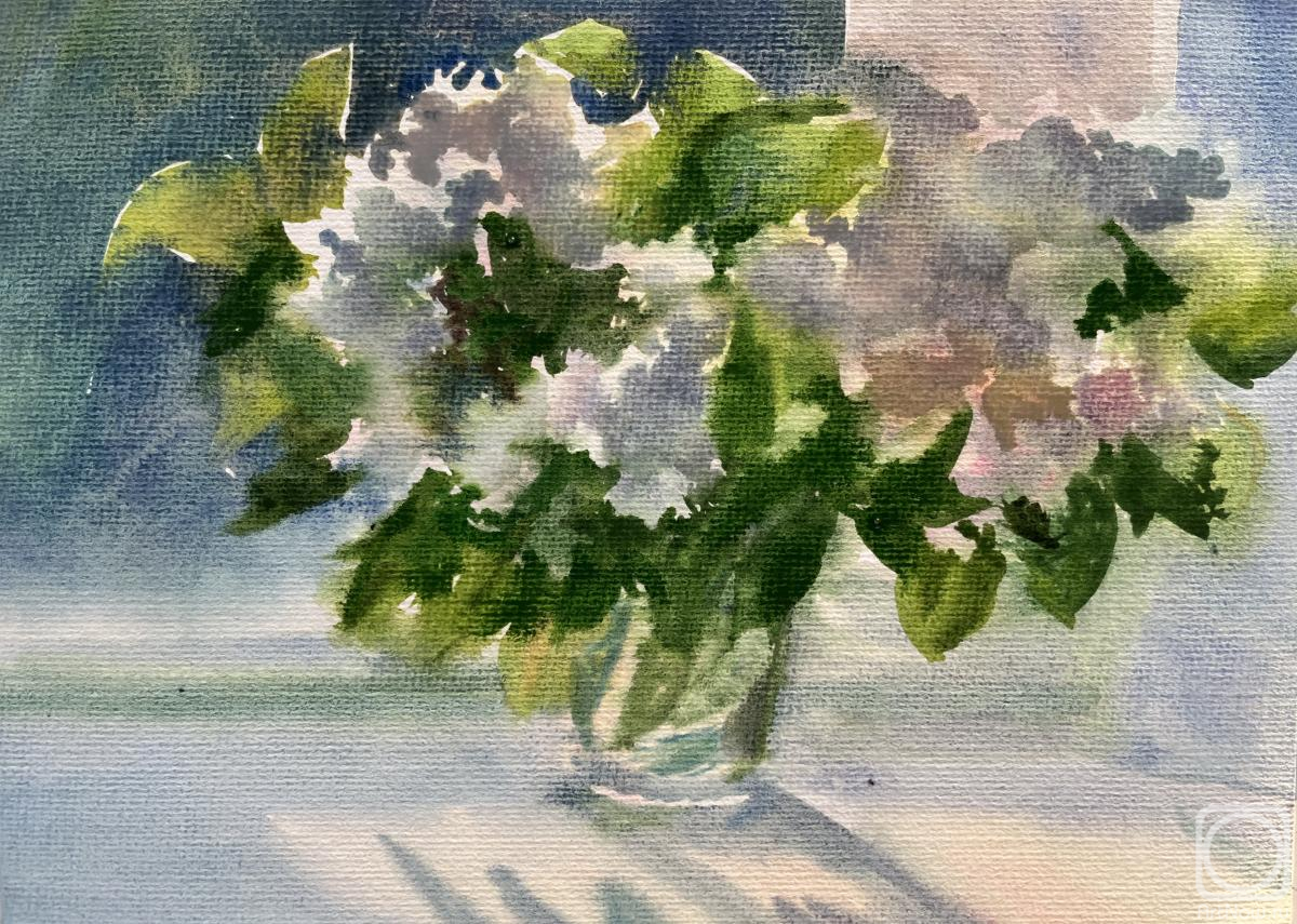 �������. ������� �������. ������, ���������� �������