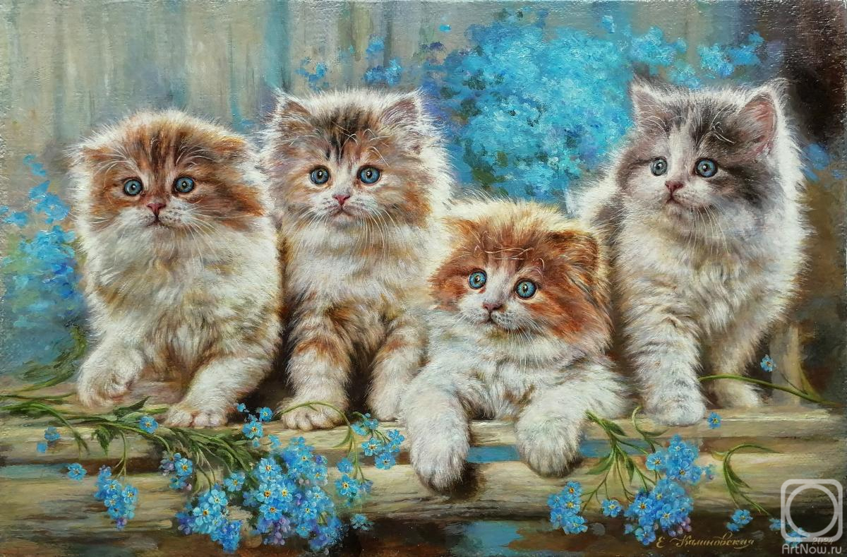 ������� ������ �� ������. ����������� ���������. ���������