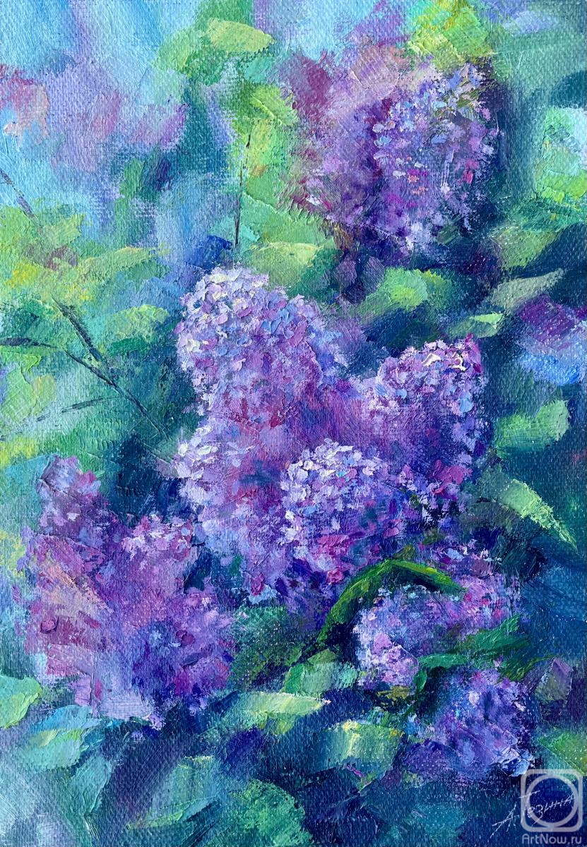 ������� ������ �� ������. ������ ����. ������� ������